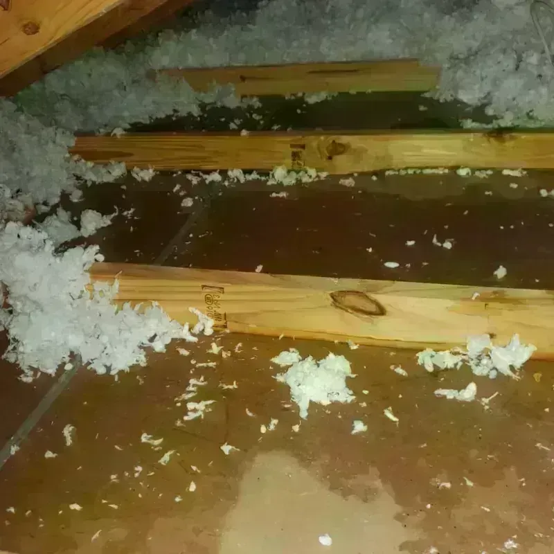 Attic Water Damage in Uxbridge, MA